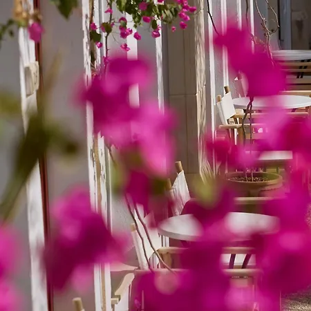 Szálloda Grecotel Plaza House Réthimno